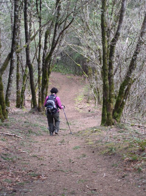 3.24.06 Dog Mountain 053 